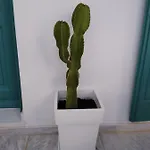 Celeste * Ornos (Mykonos)